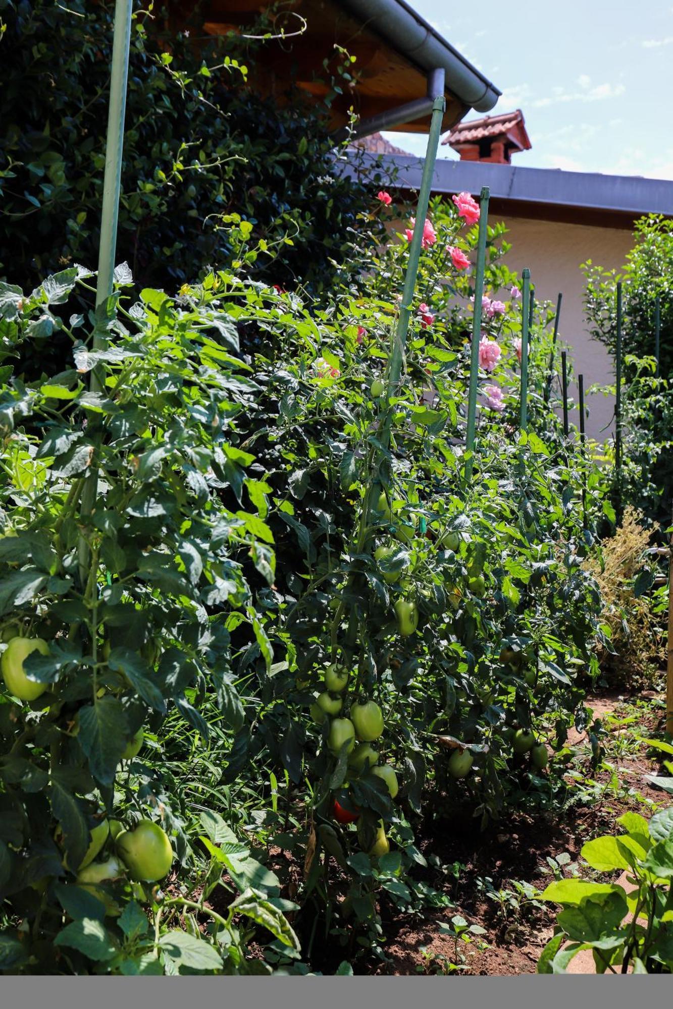 Apartment Garden M&M Dubrovnik Kültér fotó